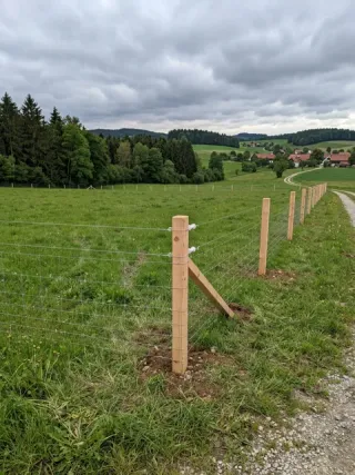 Weidezaun in Düsseldorf - fachgerechte Ausführung vor Ort