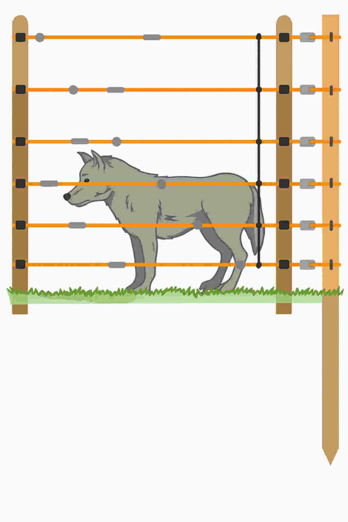 Wolfschutzzaun